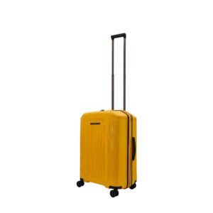 Richmont PP Luggages